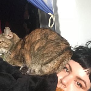 Meet your Posher, Gina